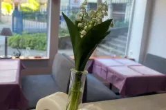 494348120_122155706474465146_8327165678534227898_n