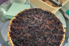 503110460_122162267030465146_5370199362247934261_n