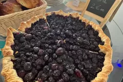 504433237_122164799324465146_6173242141040433818_n