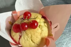 510639986_122162994422465146_6030986562278761691_n